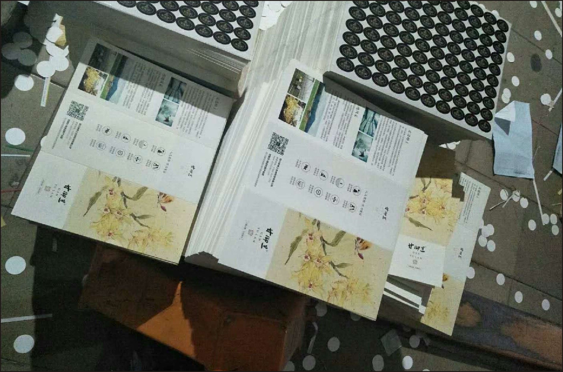 宣传单